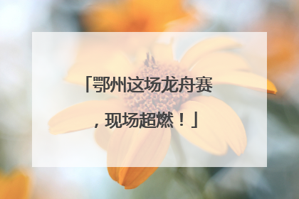 鄂州这场龙舟赛，现场超燃！